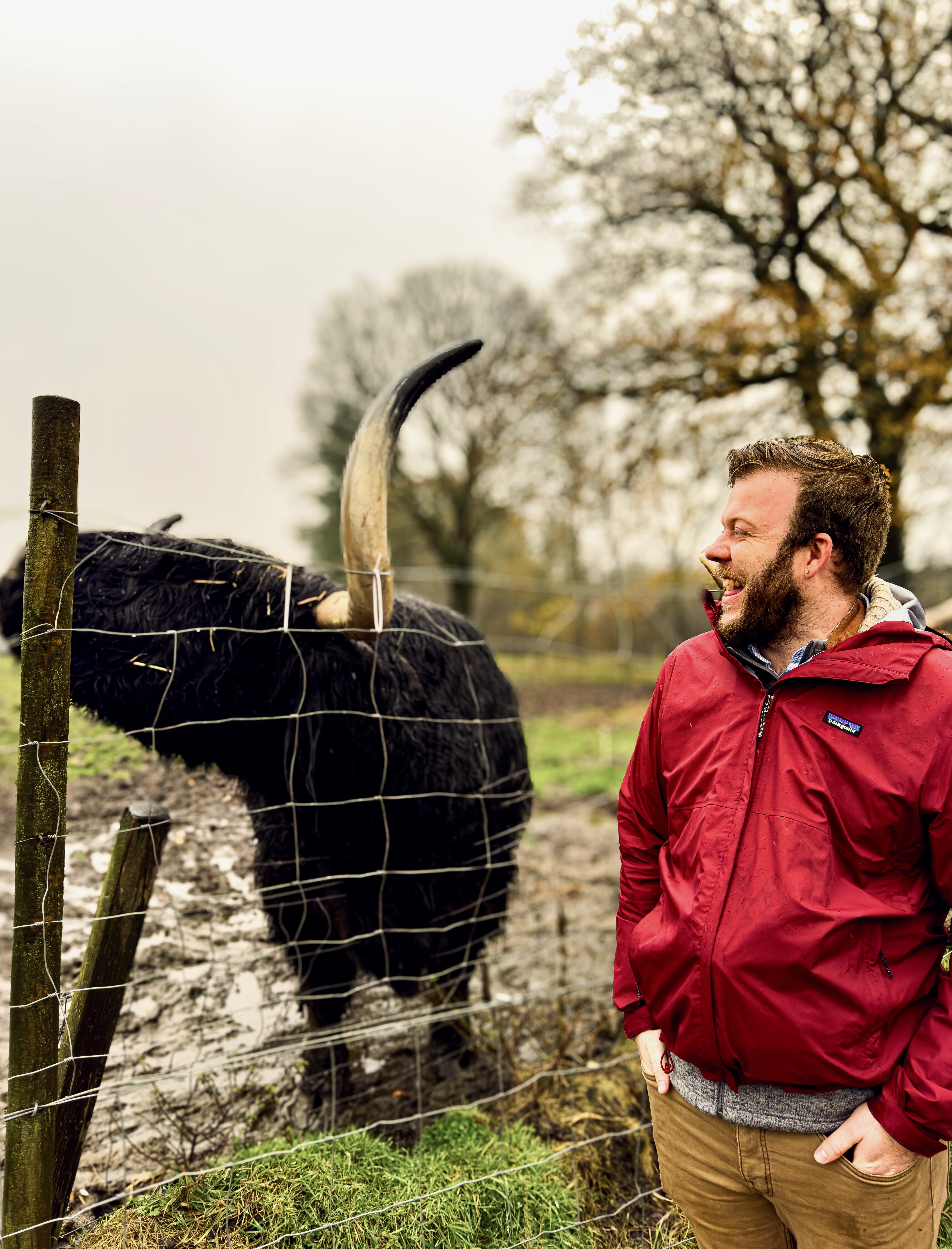 A caucasian man on the right side smiles in a red jacket and looks at a black Highland cow that has large horns. 